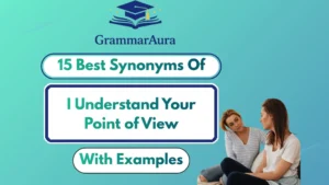 Best Synonyms of ‘I Understand Your Point of View’