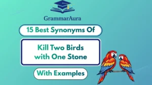 Best Synonyms of ‘Kill Two Birds with One Stone’