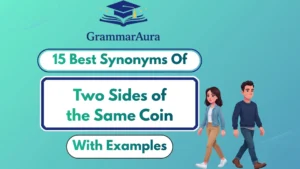 Best Synonyms of ‘Two Sides of the Same Coin’