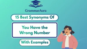 Best Synonyms of ‘You Have the Wrong Number’