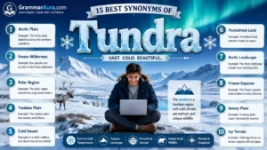 Best Synonyms of ‘Tundra’