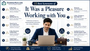 Best Synonyms of ‘It Was a Pleasure Working with You’