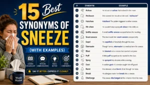 Best Synonyms of ‘Sneeze’