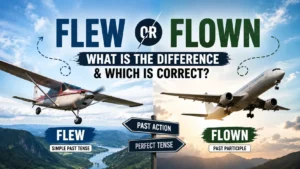 Flew Or Flown: What Is the Difference & Which Is Correct?