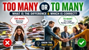 Too Many or To Many: What Is the Difference & Which Is Correct?